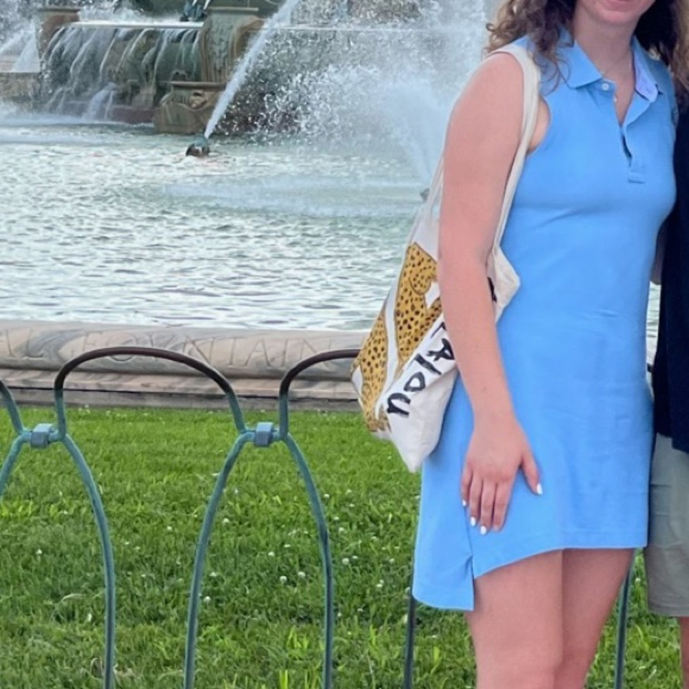Tommy Hilfiger Sky Blue Sleeveless Dress - Picture 4 of 4